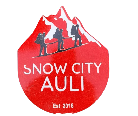 Snow City Auli